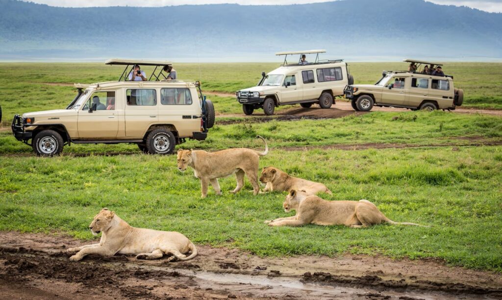 AFRICA 7