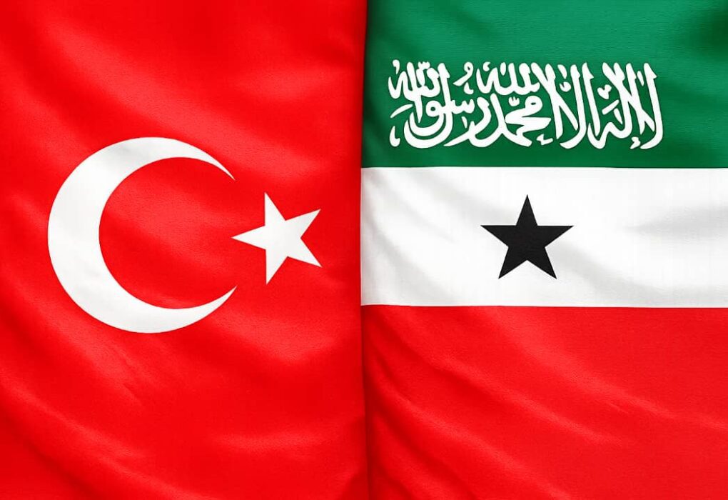 TURKEY VS SOMALILAND