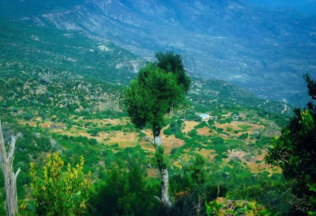 DAALLO MOUNTAIN