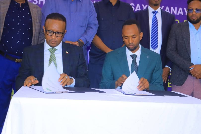 HARGEYSA JIGJIGA TWIN